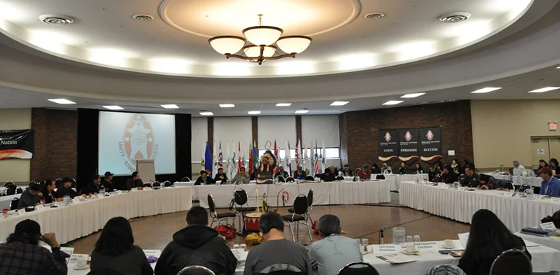 NAN conference